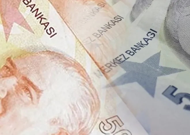 5 ve 50 TL’lik yeni banknotlar piyasada