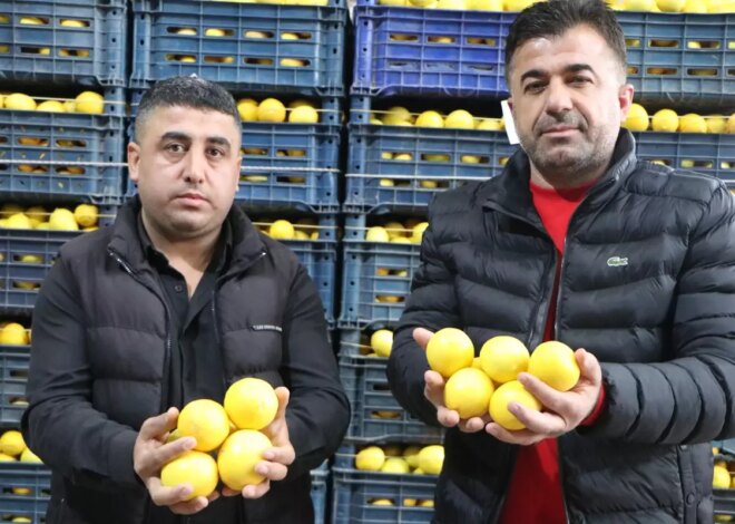 Adana’da Limon Fiyatları Uçtu: Üretici ve Tüketici Mağdur