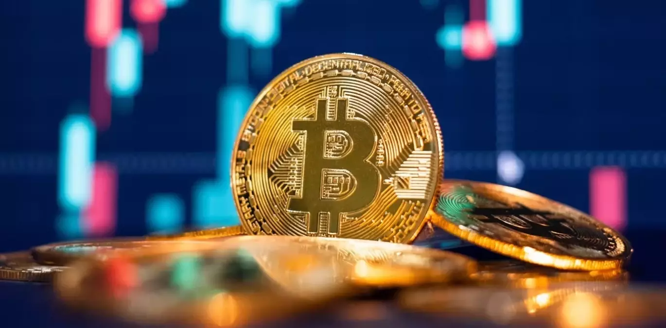 Bir ülkede daha Bitcoin rezervi sözü verildi