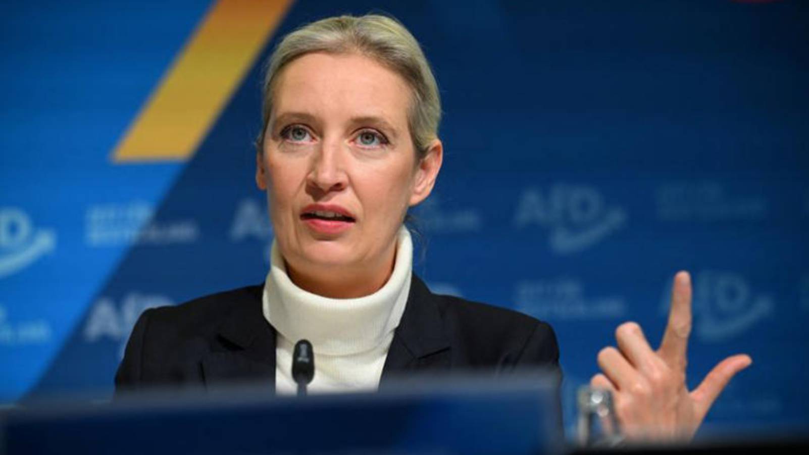 Almanya’da aşırı sağcı AfD’nin olası başbakan adayı Alice Weidel’ın portresi: Lezbiyen, dedesi Nazi, Thatcher hayranı…