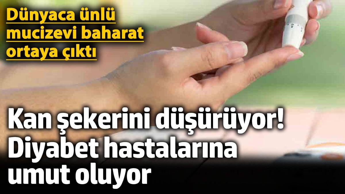 Dünyaca ünlü mucizevi baharat kan şekerini düşürüyor diyabet hastalarına umut oluyor