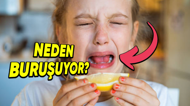 Ekşi Bir Şeyler Yediğinizde, Yüzünüzü İstemsizce Buruşturmanızın Sebebi Nedir? (Sadece Ekşi Yiyeceklerde Oluyor!)