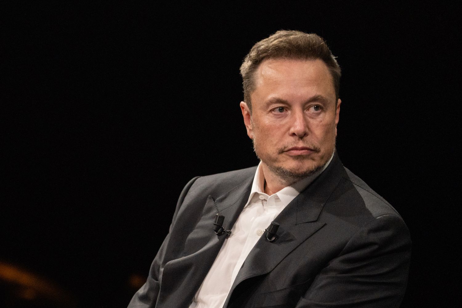 Elon Musk, “Almanya’yı sadece AfD kurtarabilir” dedi; Berlin tepkili