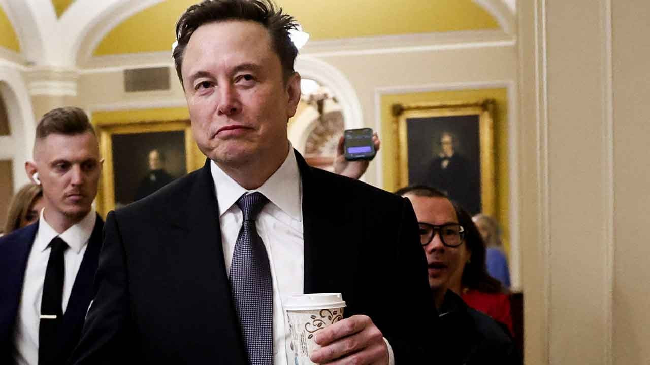 Elon Musk: Almanya’yı sadece AfD kurtarabilir