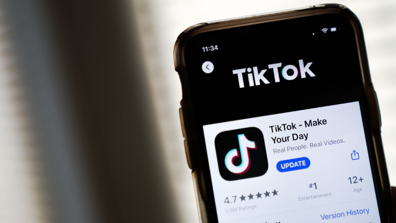 TikTok, yasaklanmasının önünü açan yasanın uygulanmasının durdurulmasını istedi