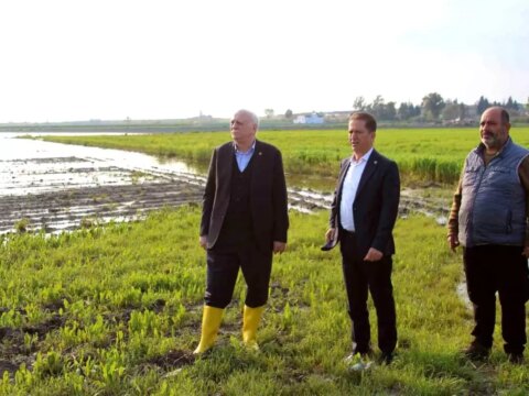 Adana’da Tarım Alanları Sel Altında