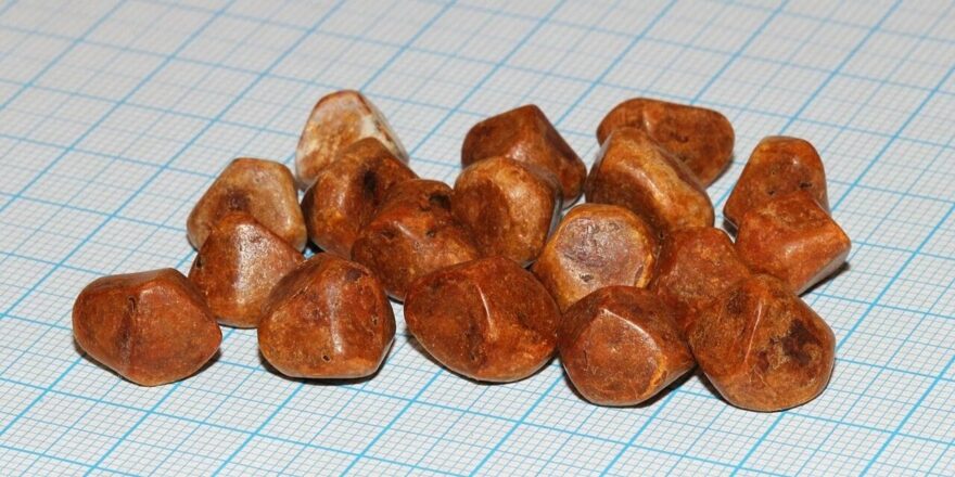 Altından daha değerli: Çeteler bile peşine düştü!