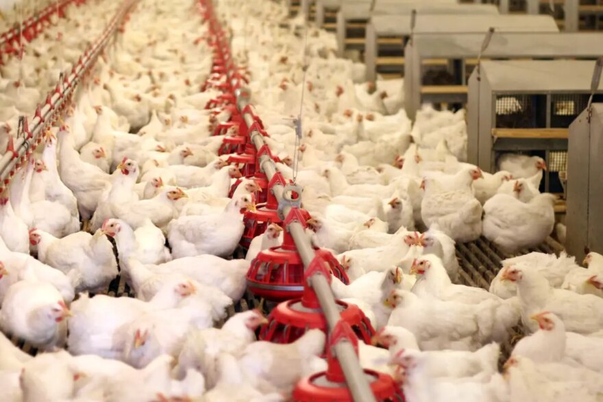 Bir dönemin ihracat şampiyonuydu: 40 yıllık marka icradan satışa çıkarıldı