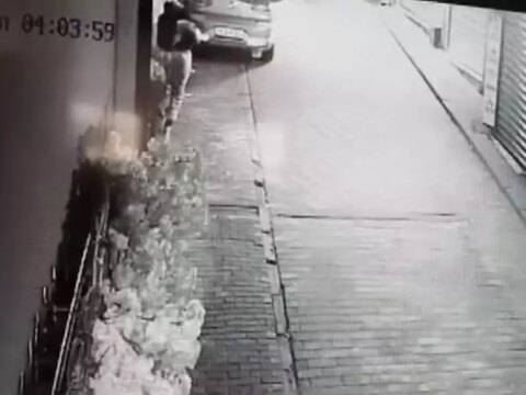 Bursa’da Hırsızlık: Süs Ağacı Çalındı