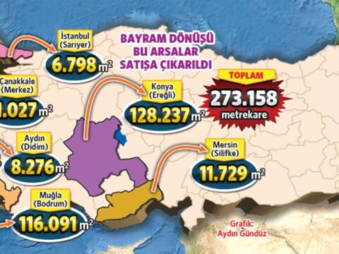 İktidar ormanı ‘çalılık’ diyerek satışa çıkardı