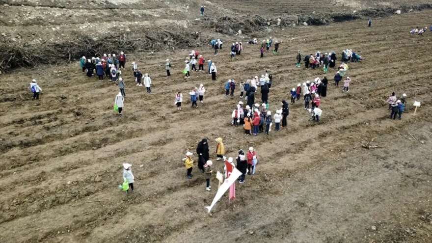 Karabük’te 2.026 Fidan Dikildi