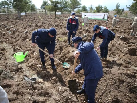 Kastamonu’da Fidan Dikimi Etkinliği