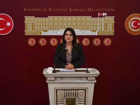 Koçyiğit’ten Yasal Düzenleme Çağrısı