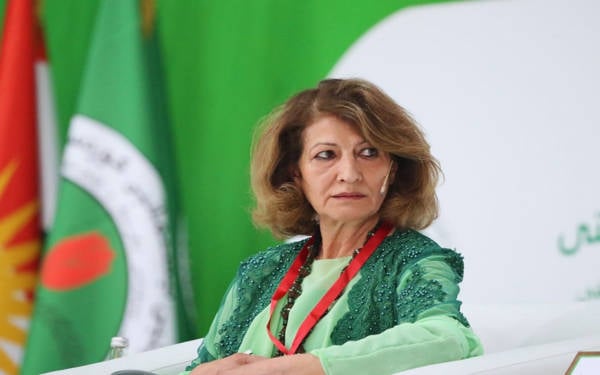 “Kürtleri rahat bırakın, biz kimsenin paralı askeri değiliz”