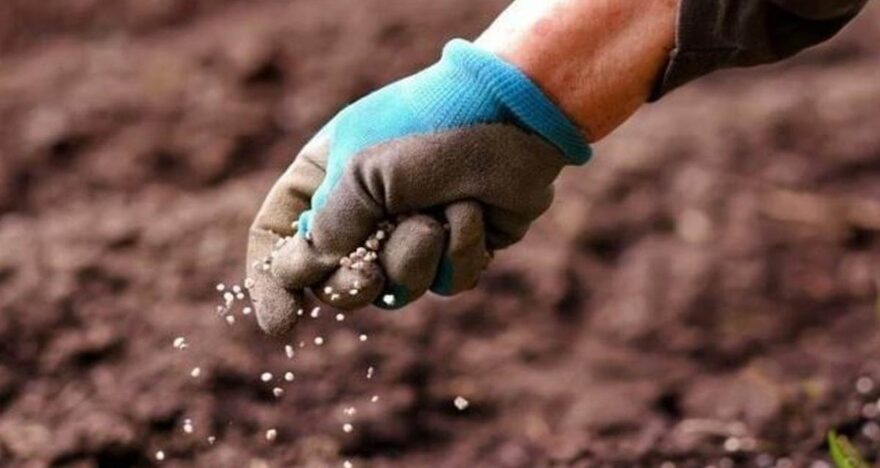Rusya’dan gübre ihracatına fren: Küresel gıda zinciri alarmda