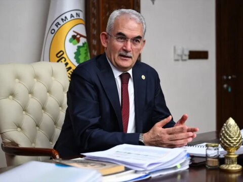 Türkiye 600 Milyon Fidan Dikecek