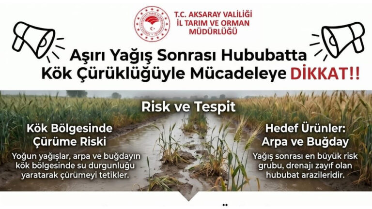 aksaray-il-tarim-mudurlugu-uyardi-asiri-yagis-hububat-alanlarini-tehdit-ediyor-wflmrfHu.jpg