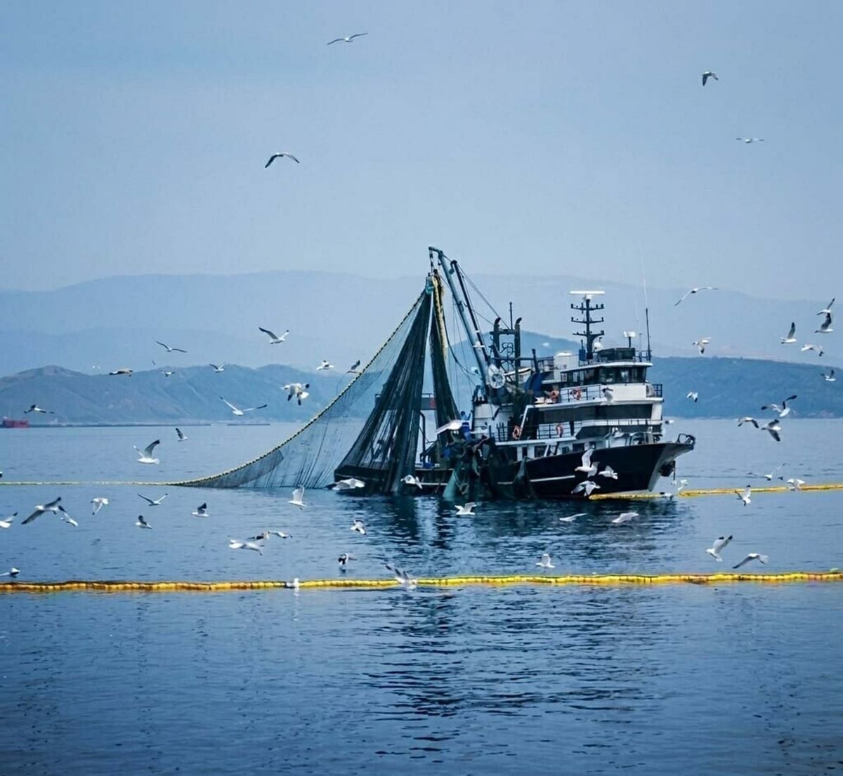 Denizlerde av yasağı 15 Nisan’da başlıyor