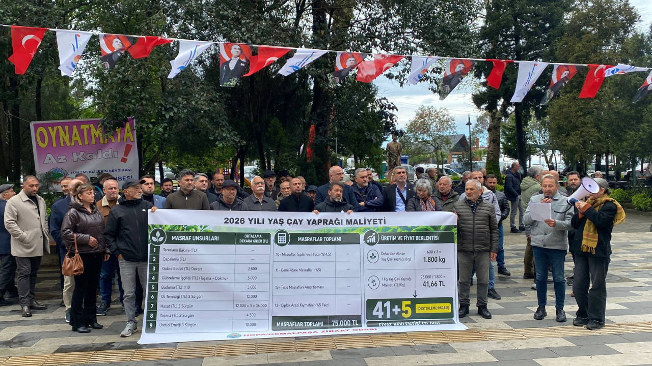 Hopalı çay üreticilerinin talebi: ‘Taban fiyat en az 46 TL olmalı’