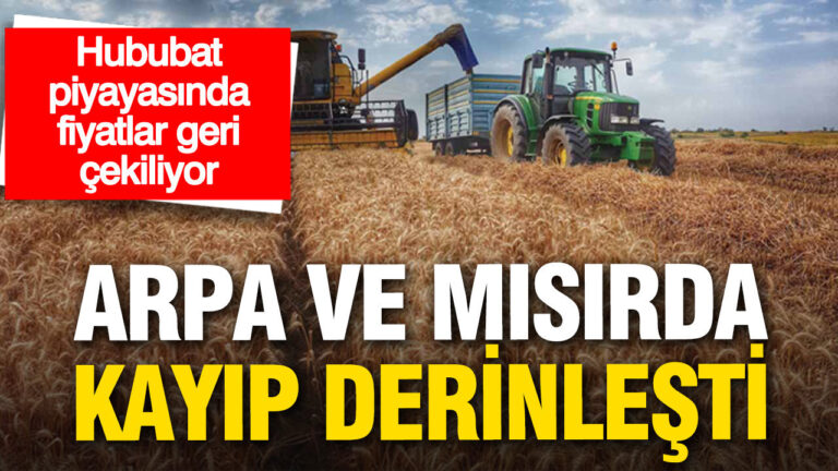 hububat-piyasasinda-fiyatlar-geri-cekiliyor-arpa-ve-misirda-kayip-derinlesti-sVifpV4Q.jpg