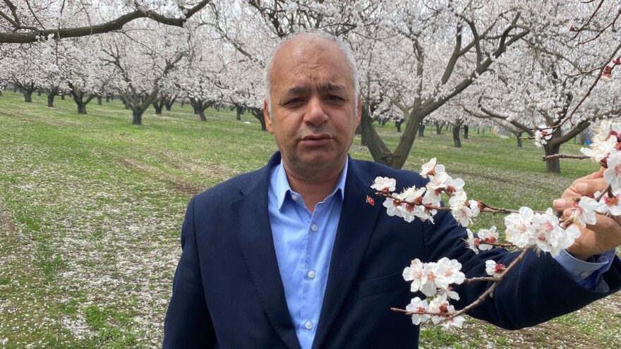 Iğdır’da Kayısı Ağaçları Çiçek Açtı