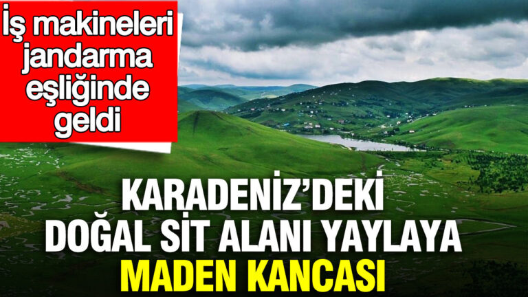 karadenizdeki-dogal-sit-alani-yaylaya-maden-kancasi-is-makineleri-jandarma-esliginde-geldi-ljnPTDSx.jpg