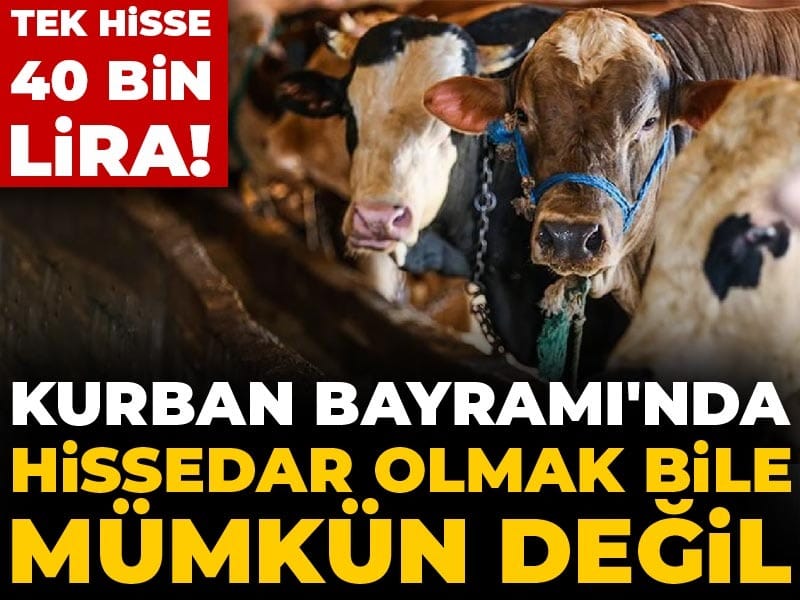 Kurban Bayramı’nda hissedar olmak bile mümkün değil: Tek hisse 40 bin lira!