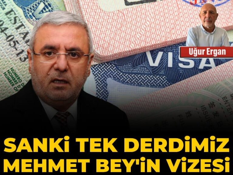 sanki-tek-derdimiz-mehmet-beyin-vizesi-LRcy5TJG.jpg