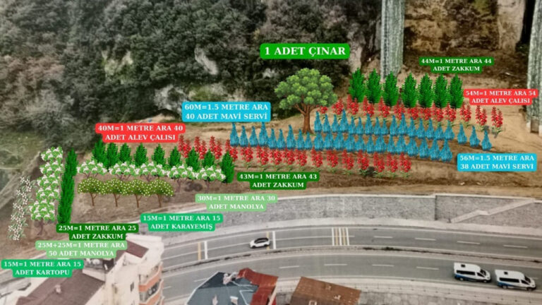 trabzon-barosundan-anlamli-proje-dogaya-ve-kente-kalici-katki-I9RSQUXm.jpg