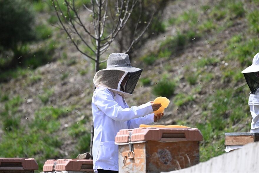 Türkiye Arıcılık Olimpiyatları’na Ev Sahipliği Yapacak