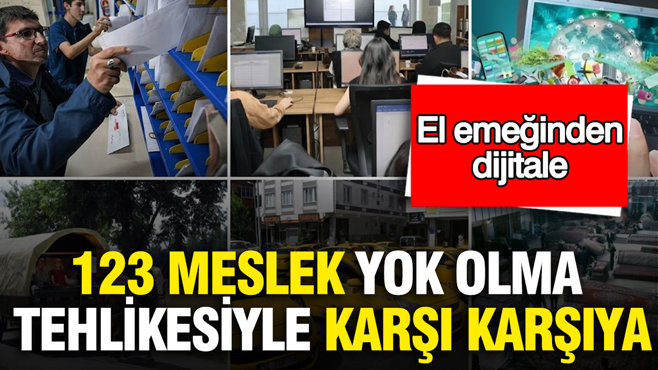 123-meslek-yok-olma-tehlikesiyle-karsi-karsiya-el-emeginden-dijitale-n5FtNpL6.jpg