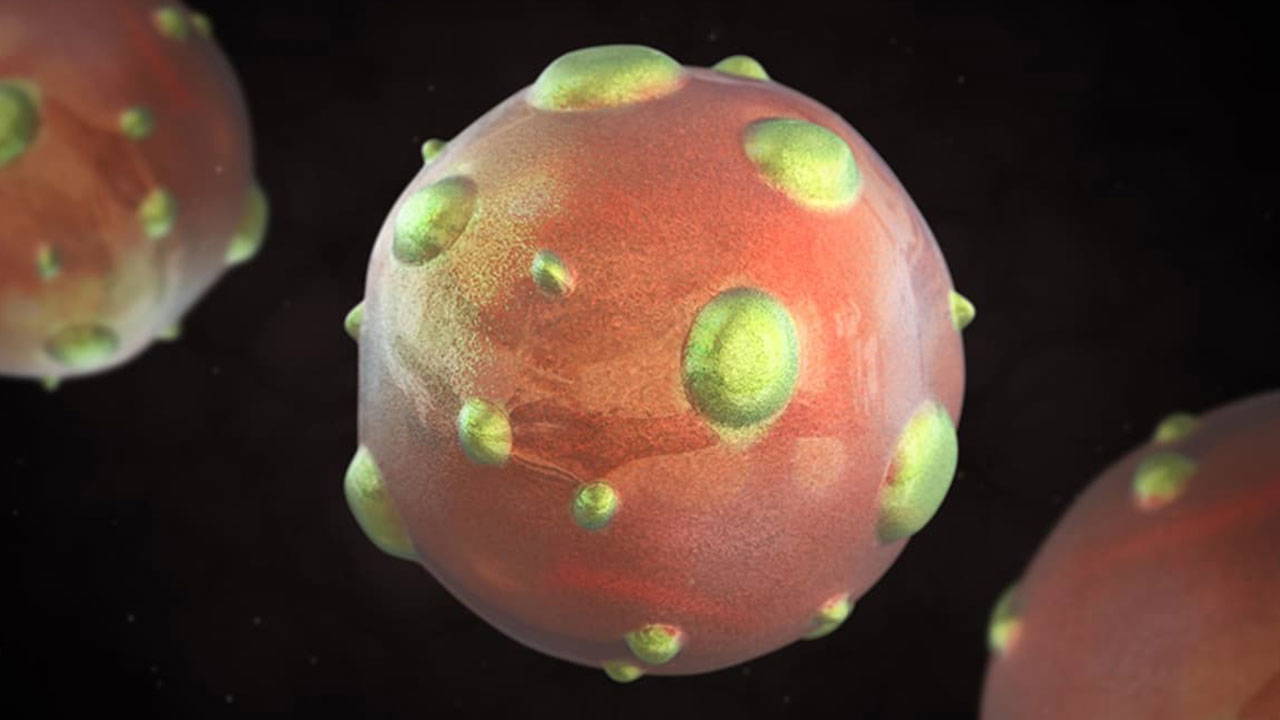 1997den-sonra-yeniden-gundemde-hantavirus-pandemiye-donusur-mu-dm22b9Yl.jpg