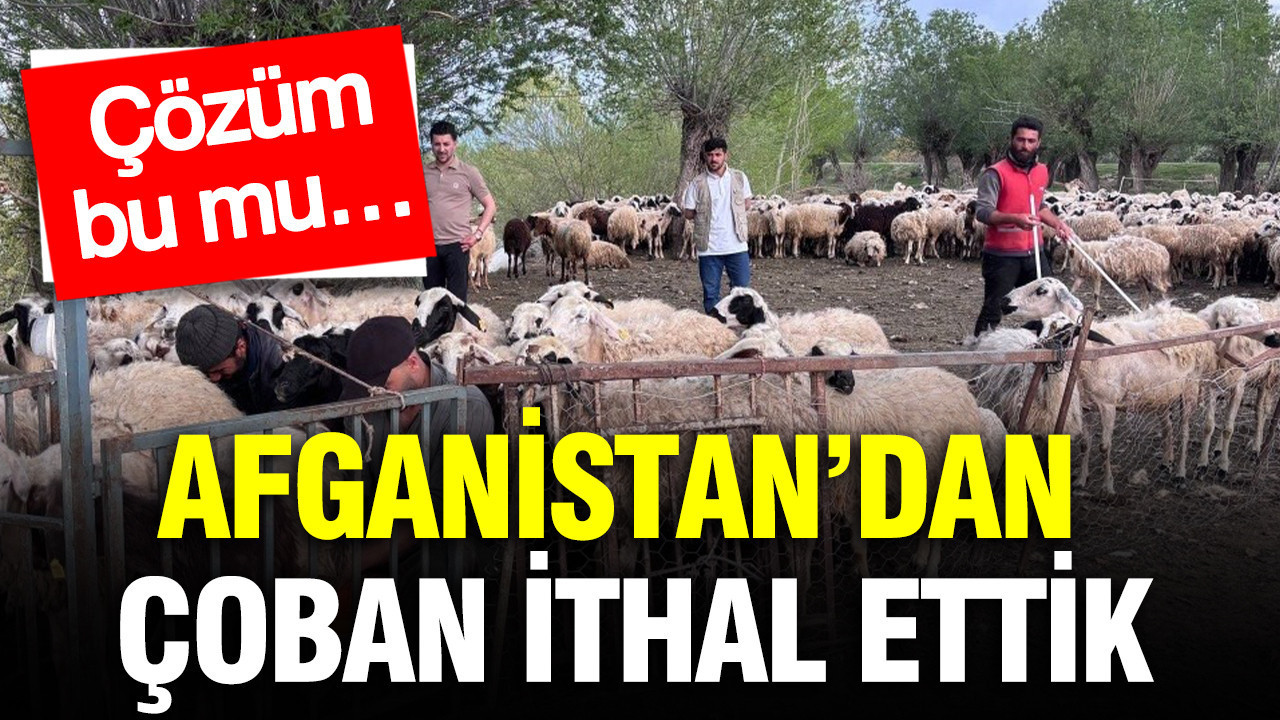 afganistandan-coban-ithal-ettik-cozum-bu-mu-ZXw7NuzH.jpg