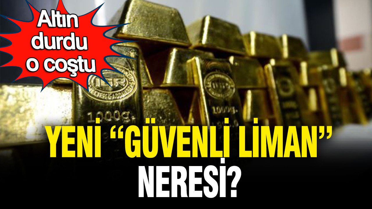 altin-durdu-o-costu-yeni-guvenli-liman-ne-F5Fn7bqi.jpg