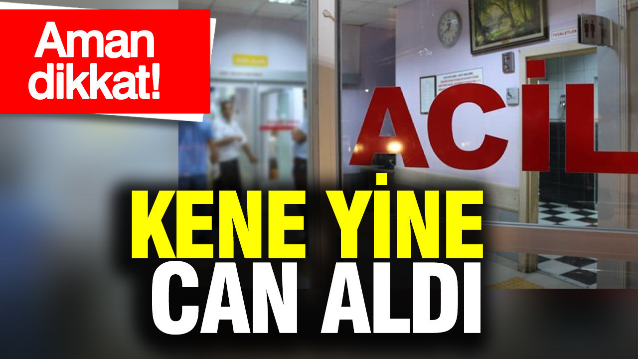 aman-dikkat-kene-yine-can-aldi-eMtjIMLI.jpg