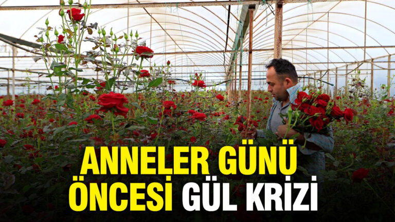 anneler-gunu-oncesi-gul-krizi-7IDjfa4Z.jpg