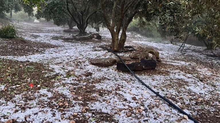 antalya-serikte-ceviz-buyuklugunde-dolu-panigi-vatandaslar-o-anlari-kaydetti-VHhuMBfj.jpg
