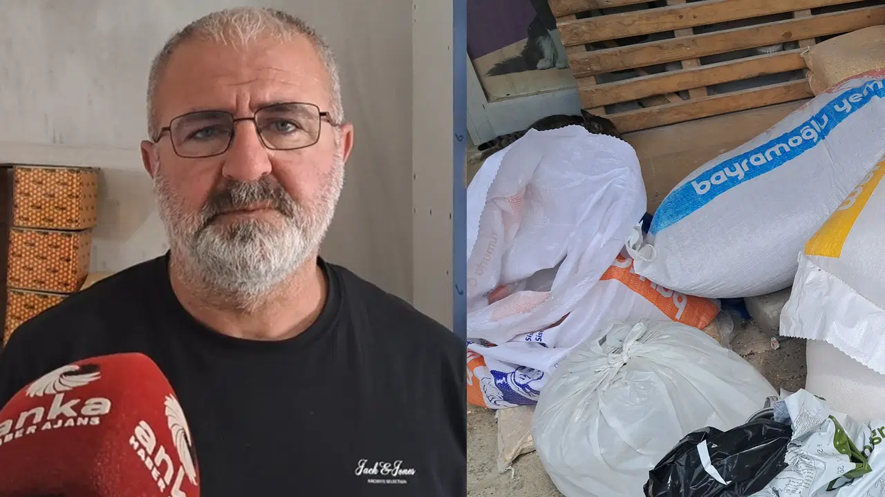 artvinde-hayvancilik-alarm-veriyor-calisan-degil-parasini-bekleten-kazaniyor-5wafgEwz.jpg