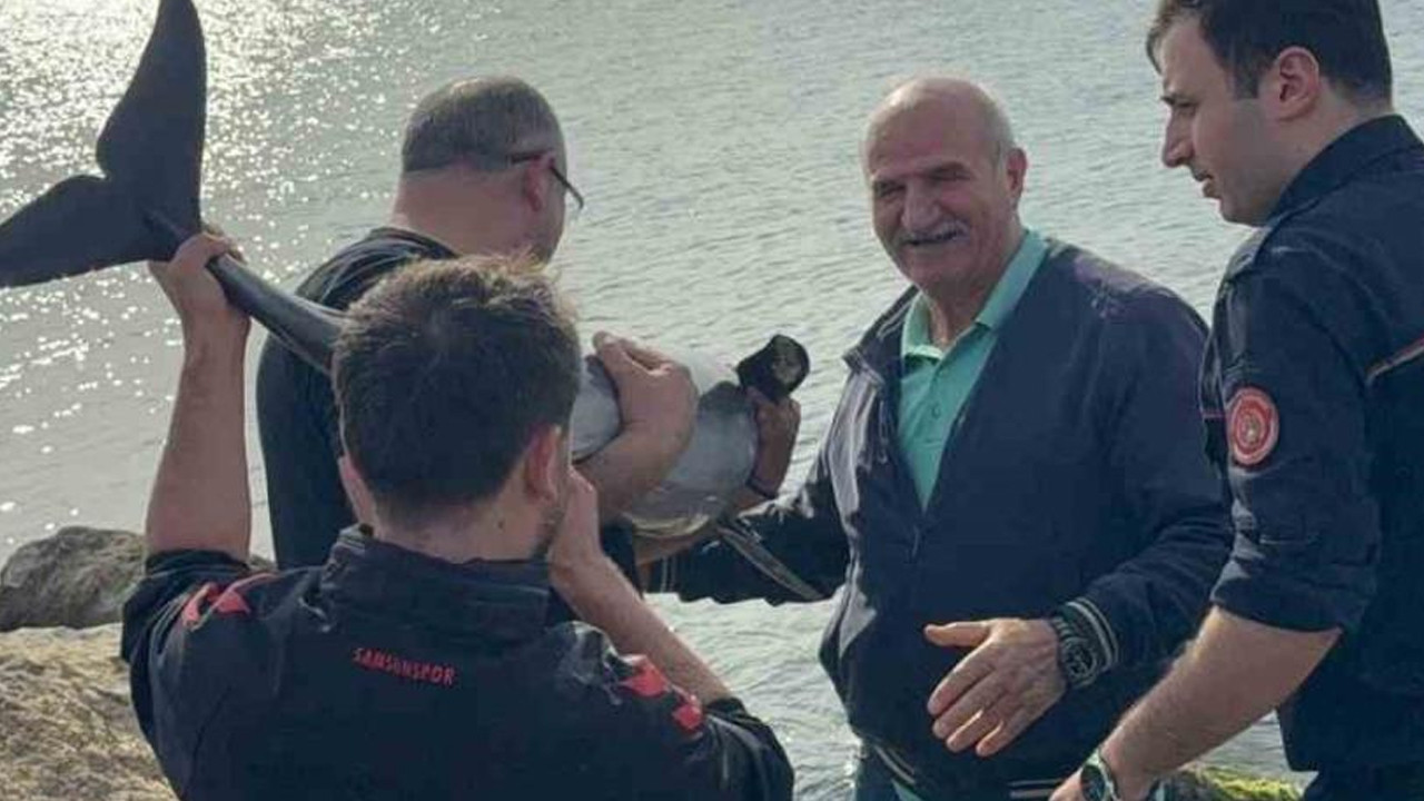 balik-sanip-gittiler-dev-yunusu-gorunce-soke-oldular-kahraman-polis-devreye-girdi-HfS4AnXN.jpg