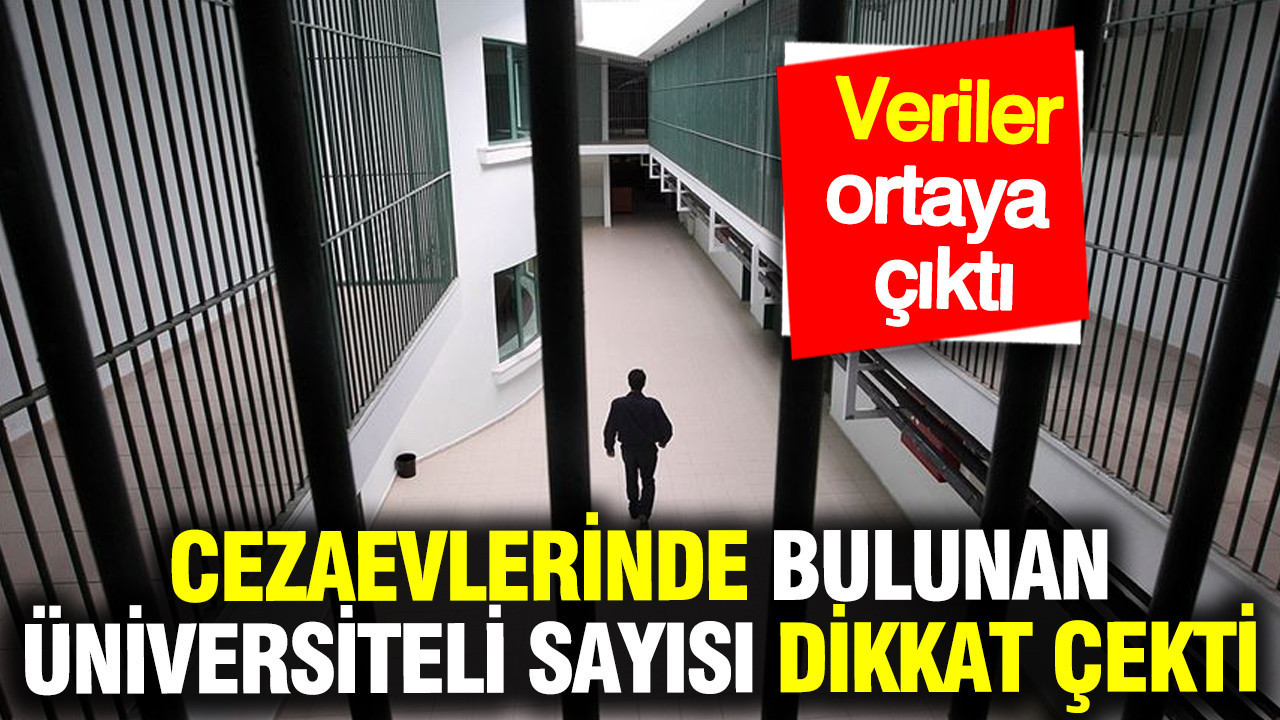 cezaevlerinde-25-binden-fazla-universite-mezunu-bulunuyor-xT3NvEiJ.jpg