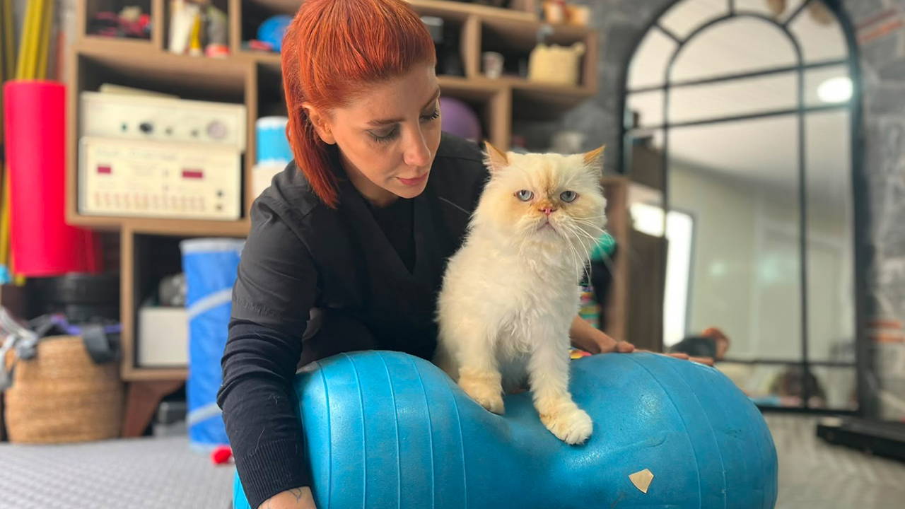 chinchilla-cinsi-kopuk-tip-dunyasini-sasirtiyor-18-yasinda-pilates-ve-yuzme-ile-hayata-tutundu-cGRKuyAX.jpg