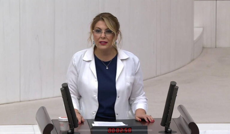 chpli-gezmis-meslektaslarinin-talebini-dile-getirdi-yesil-pasaport-eczacinin-hakkidir-usQqvPfz.jpg