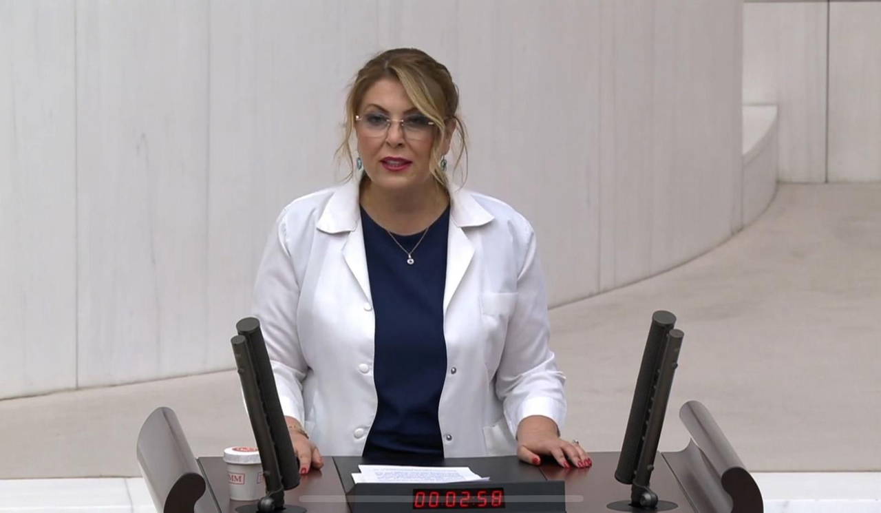 chpli-gezmis-meslektaslarinin-talebini-dile-getirdi-yesil-pasaport-eczacinin-hakkidir-usQqvPfz.jpg