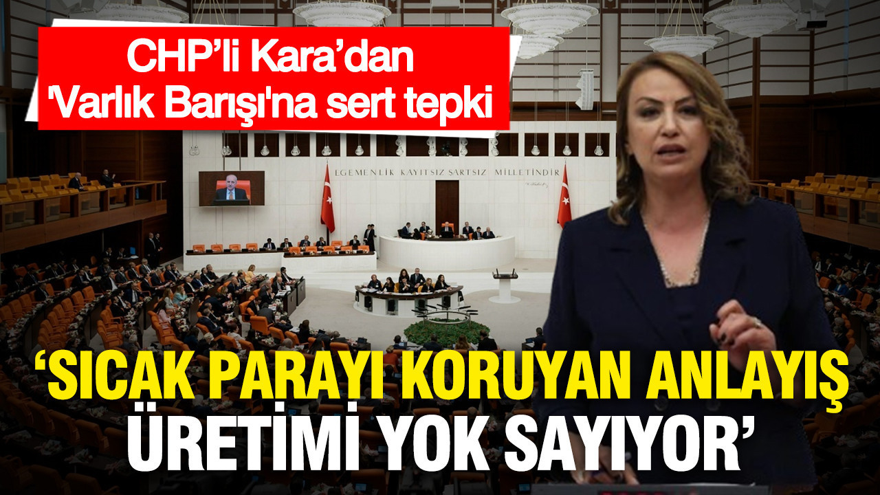 chpli-karadan-varlik-barisi-teklifine-sert-tepki-sicak-parayi-koruyan-anlayis-uretimi-yok-sayiyor-GFMn7kEa.jpg