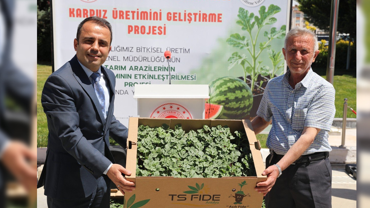 ciftcilere-60-bin-karpuz-fidesi-dagitildi-jZ3AVu2m.jpg
