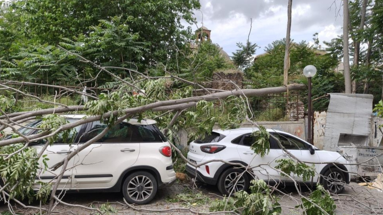 devrilen-agac-park-halindeki-araclara-zarar-verdi-iAsreG5x.jpg