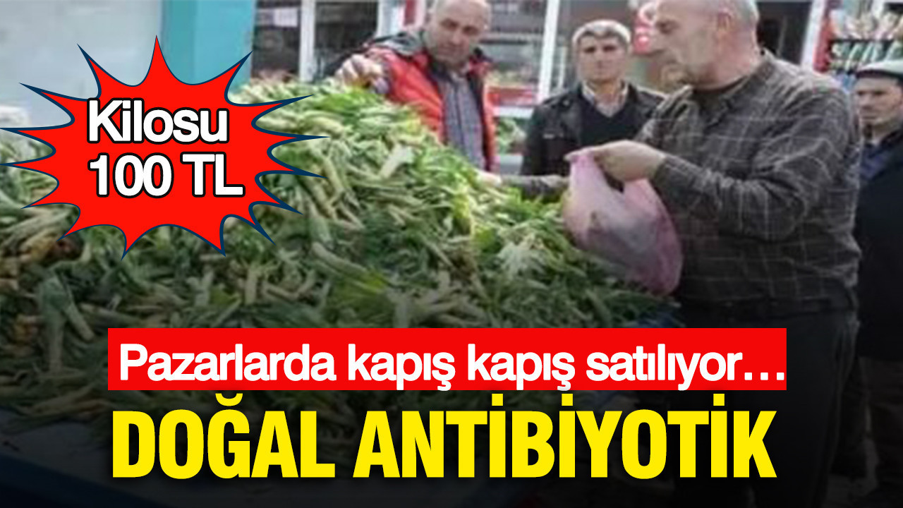 dogal-antibiyotik-pazarlarda-kapis-kapis-satiliyor-kilosu-100-tl-RF8xRb9M.jpg