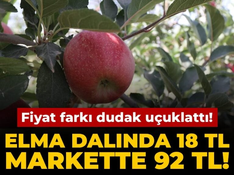 elma-dalinda-18-tl-markette-92-tl-aradaki-fark-dudak-ucuklatti-y6rZrmhX.jpg