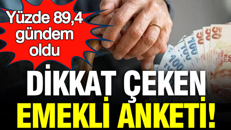 emekli-anketi-forum-enstitusunden-yuzde-894-gundem-oldu-lvfAQBVf.jpg