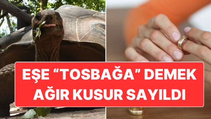 Eşine “Tosbağa” Diyen Adam, Boşanma Davasında Ağır Kusurlu Bulunarak Tazminata Mahkûm Oldu